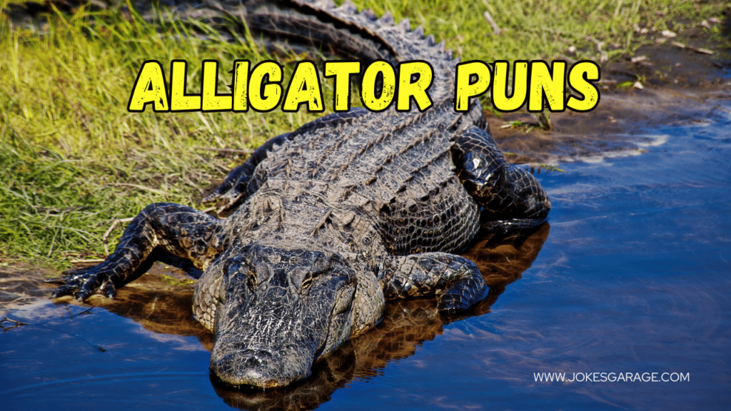 Alligator Puns