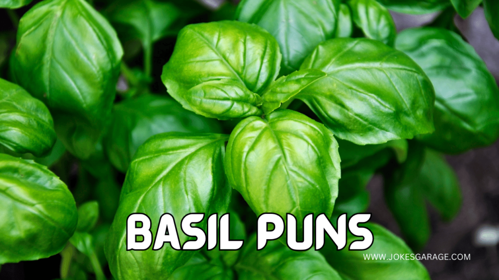 Basil Puns