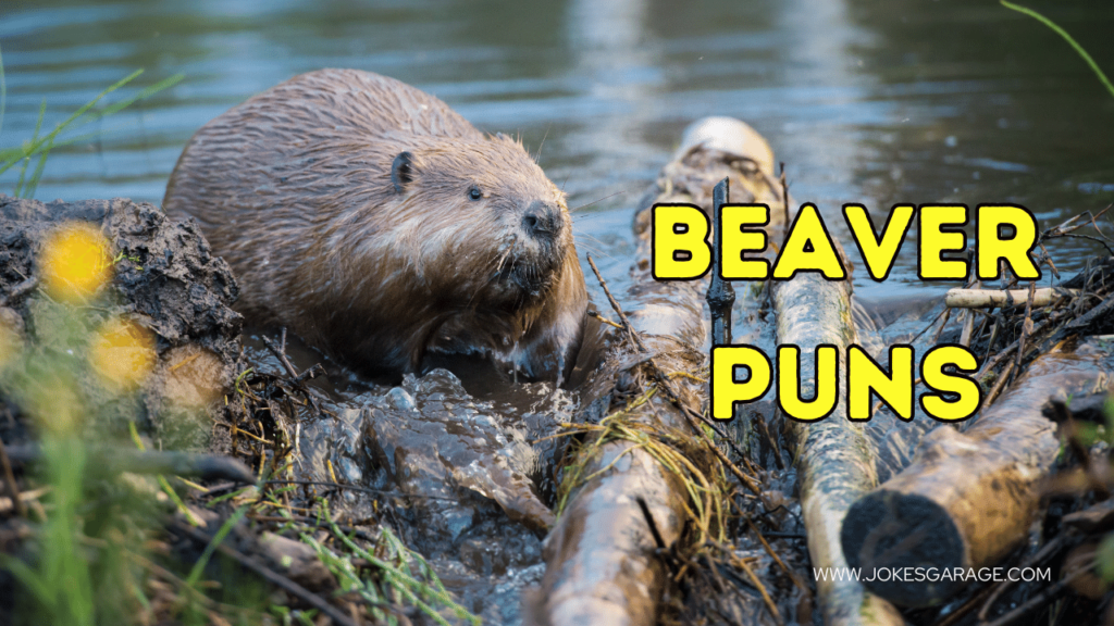 Beaver Puns