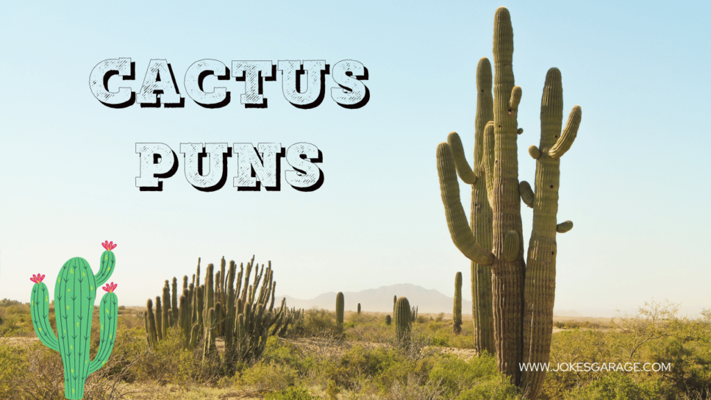 Cactus Puns