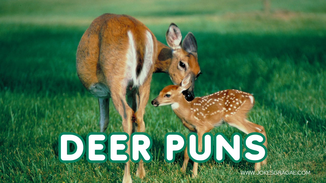 50 Funny Jokes About Deer Puns Jokes Garage