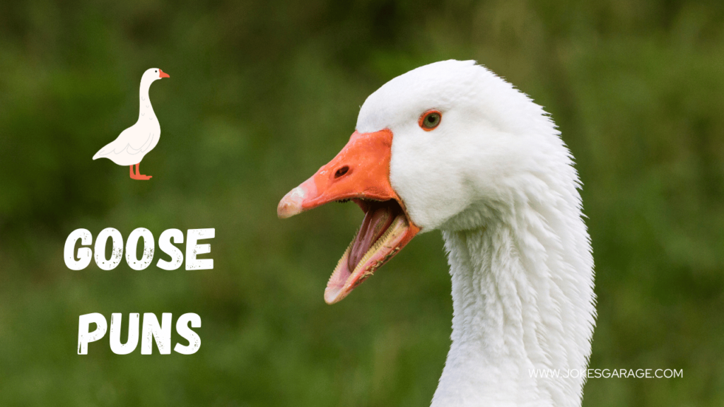 Goose Puns