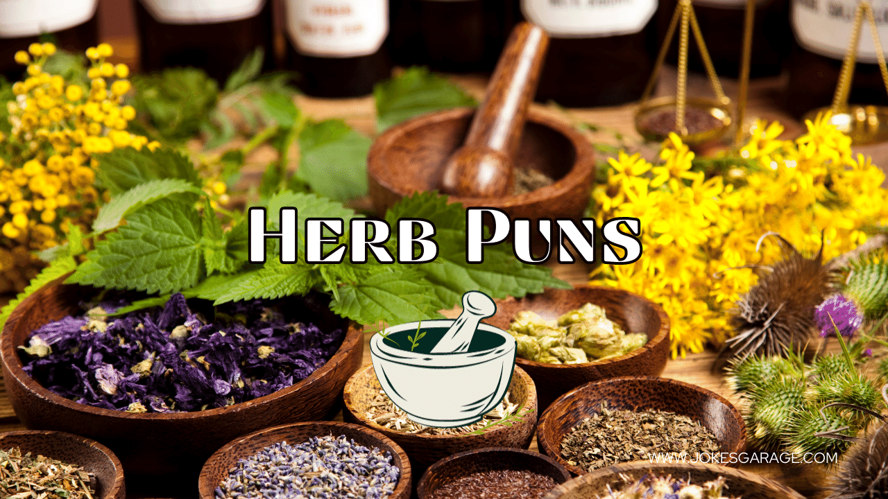 78 Herb Puns One Liners Jokes Garage
