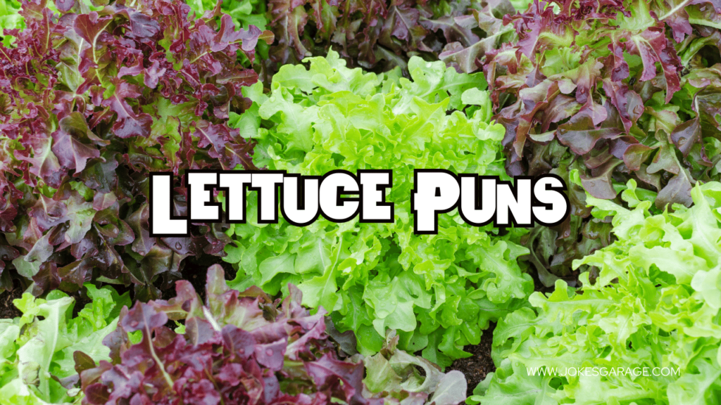 Lettuce Puns