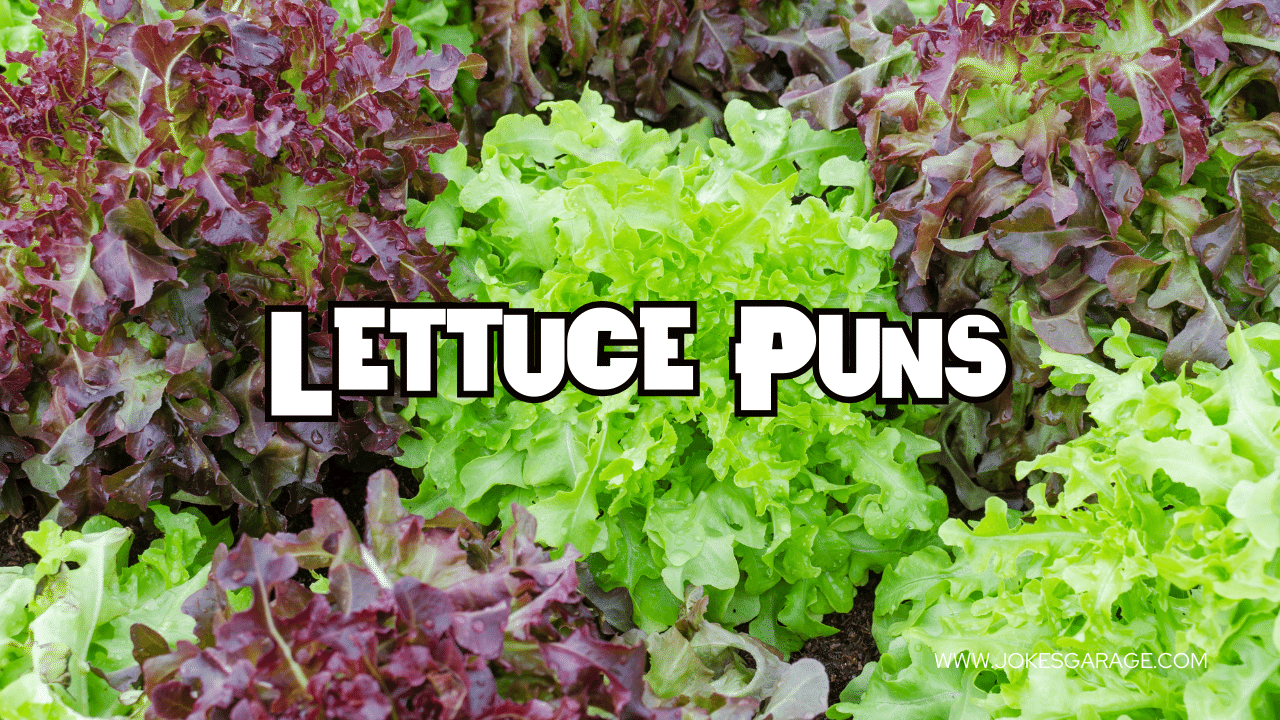 87 Lettuce Puns One Liners Jokes Garage