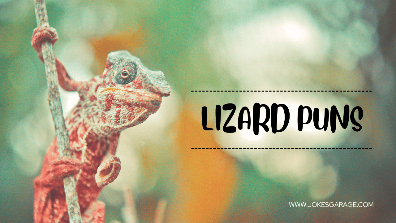 140 Funny Lizard Puns Jokes Garage