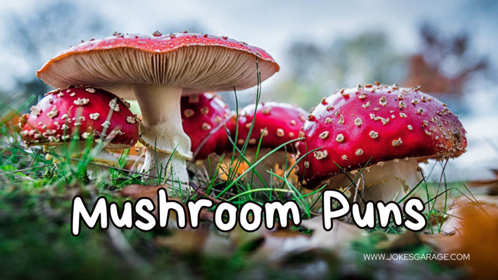 Mushroom Puns