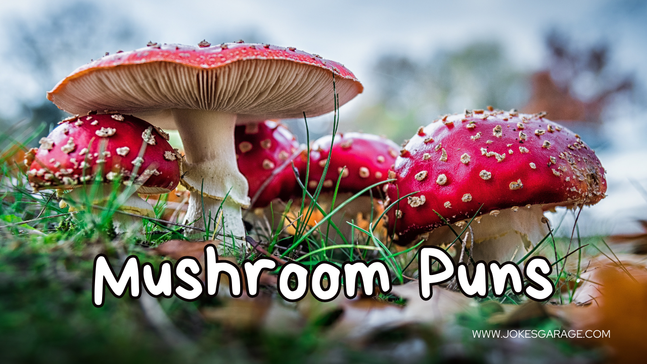 80 Funny Mushroom Puns Jokes Garage