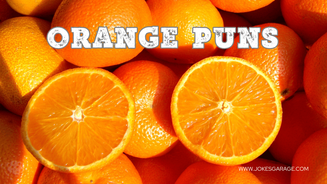 88 Fruit Orange Puns Jokes Garage