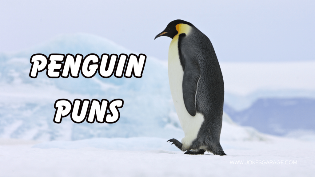 Penguins Puns