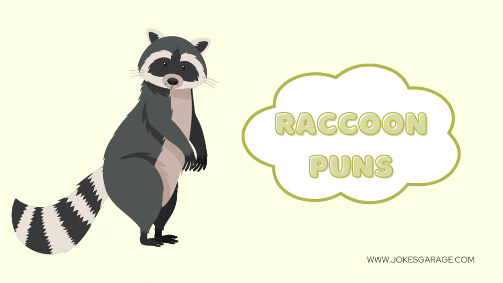 Raccoon Puns