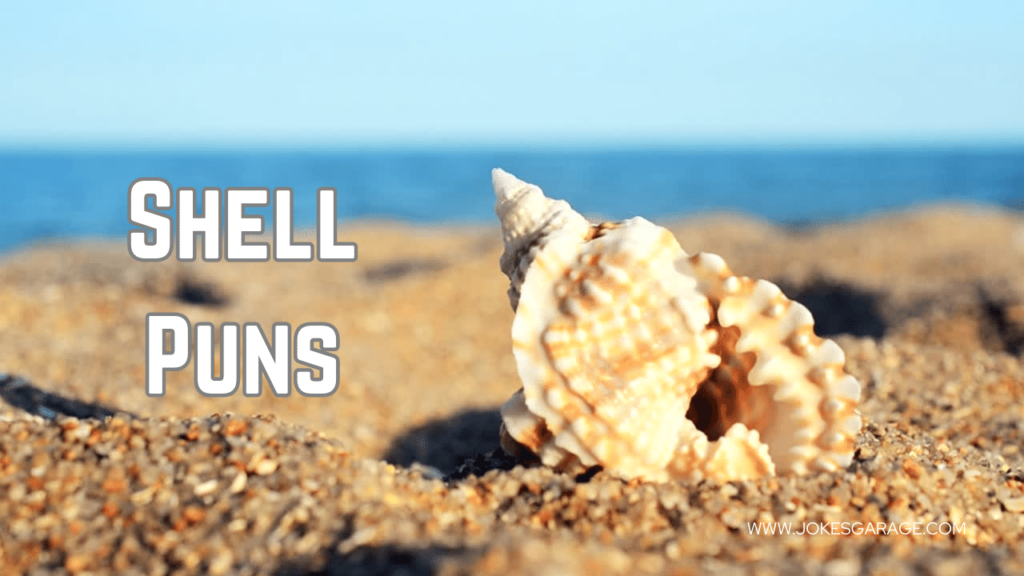 Shell Puns