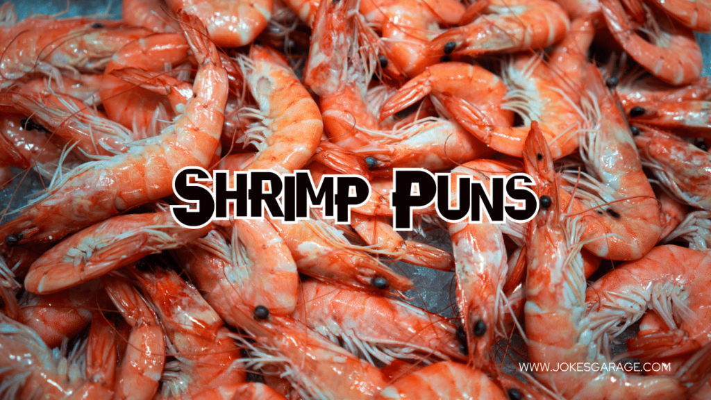 Shrimp Puns