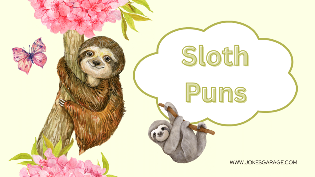 Sloth Puns