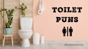 100 One Liners Toilet Puns - Jokes Garage