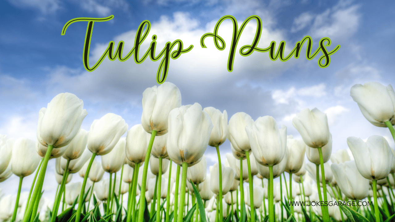 58 Funny Tulip Puns Jokes Garage