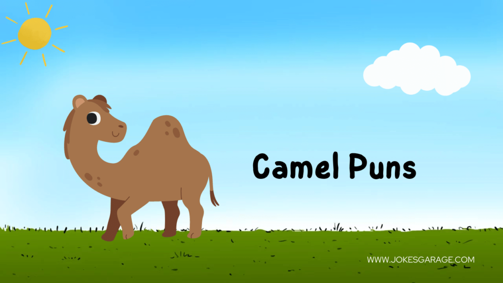 Camel Puns