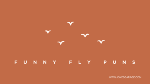 60 Short Fly Puns - Jokes Garage