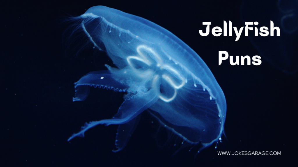 Jellyfish Puns