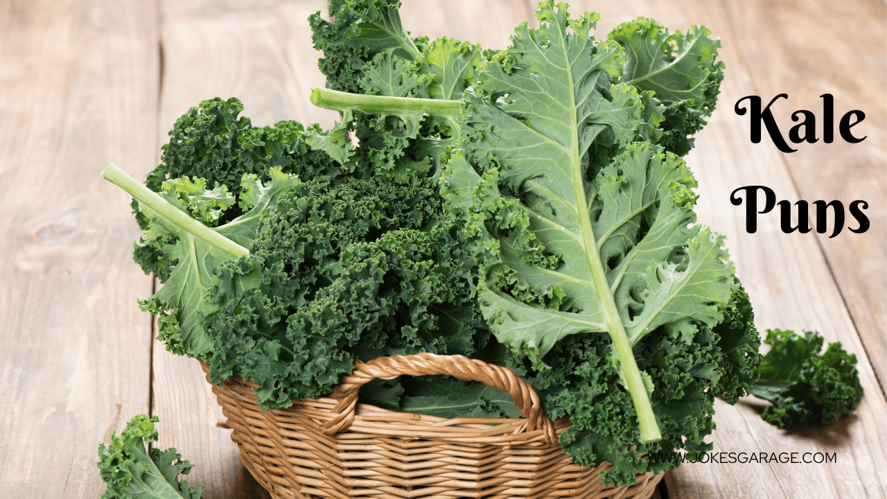 78 Popular Kale Puns Jokes Garage