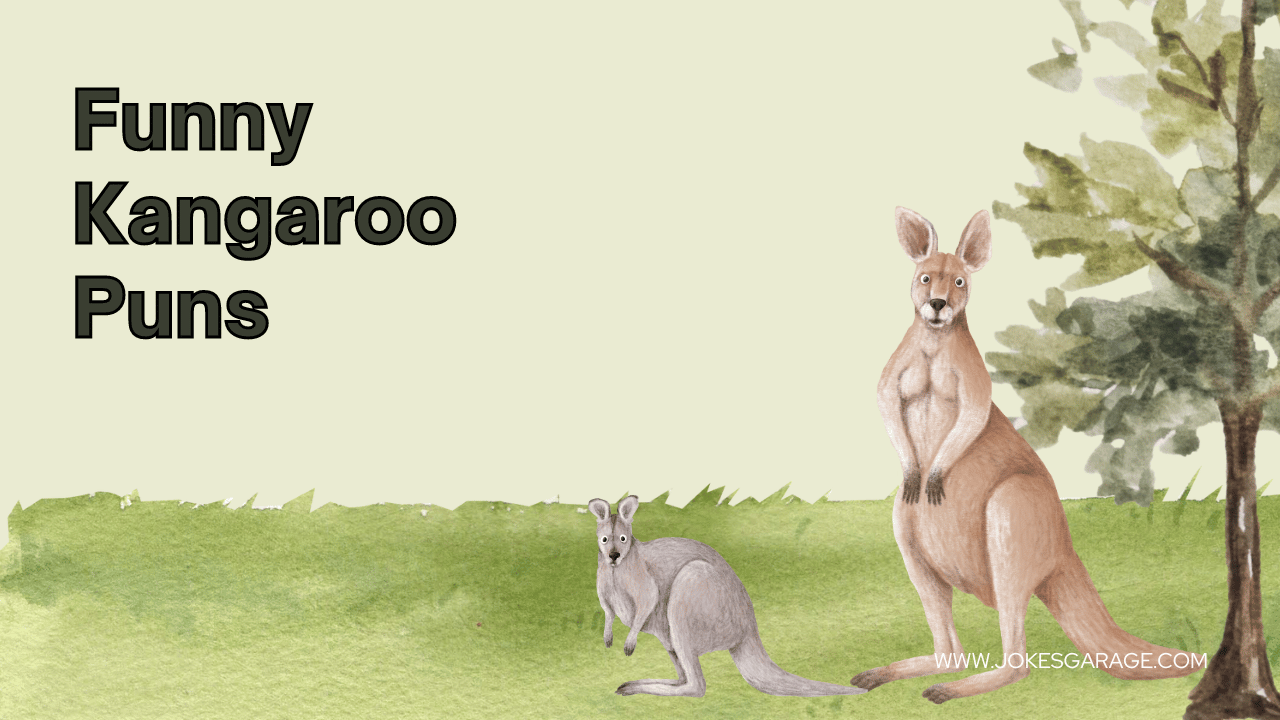 100 Clever Kangaroo Puns Jokes Garage