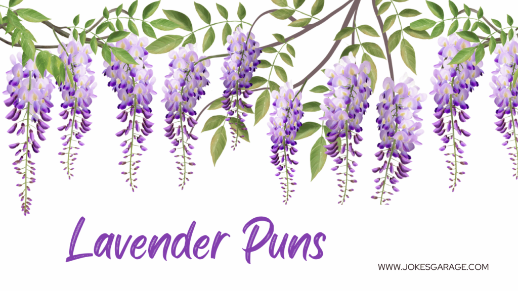 Lavender Puns