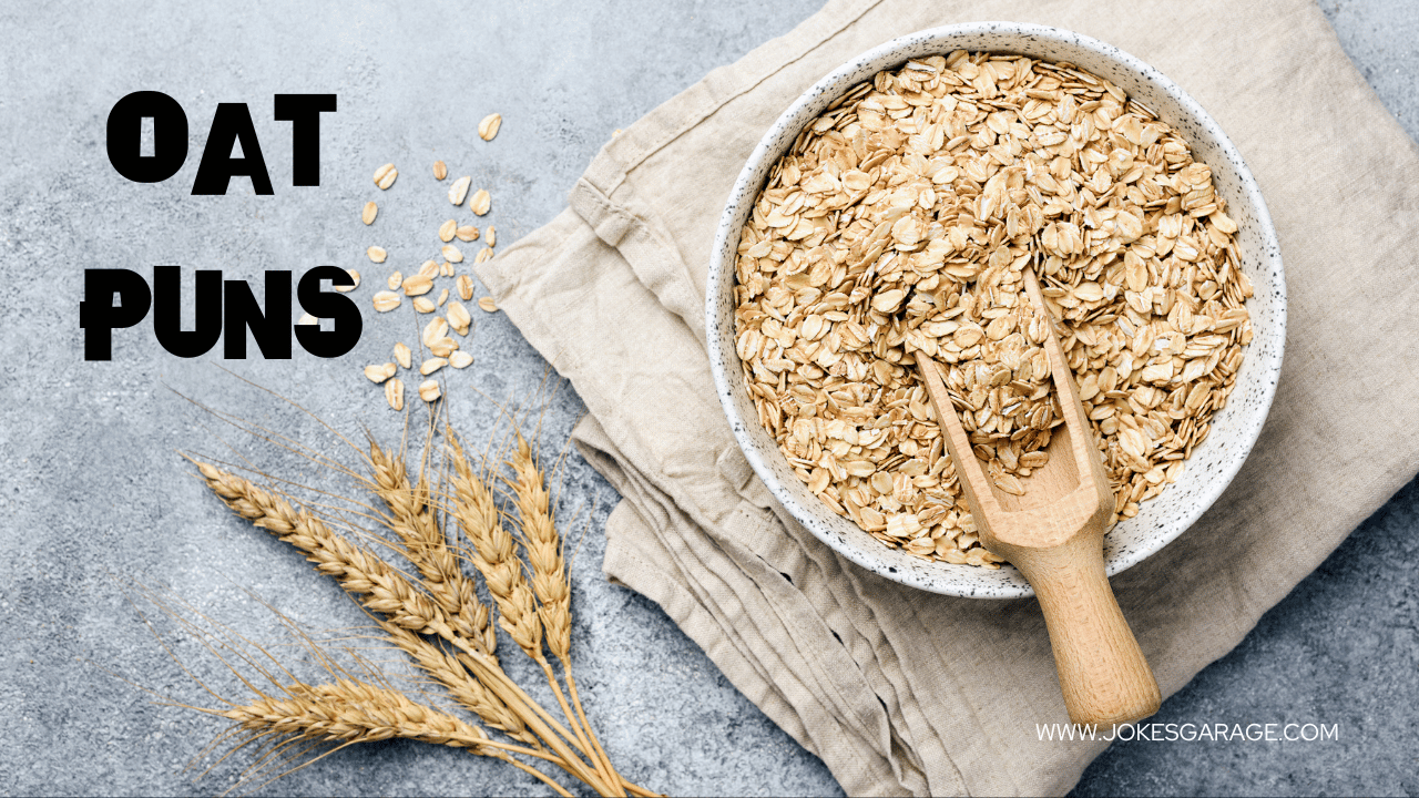 80 Best Oat Puns Jokes Garage