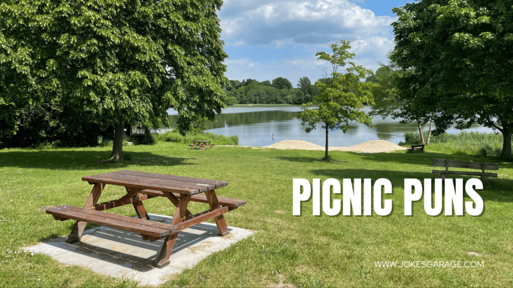 Picnic Puns