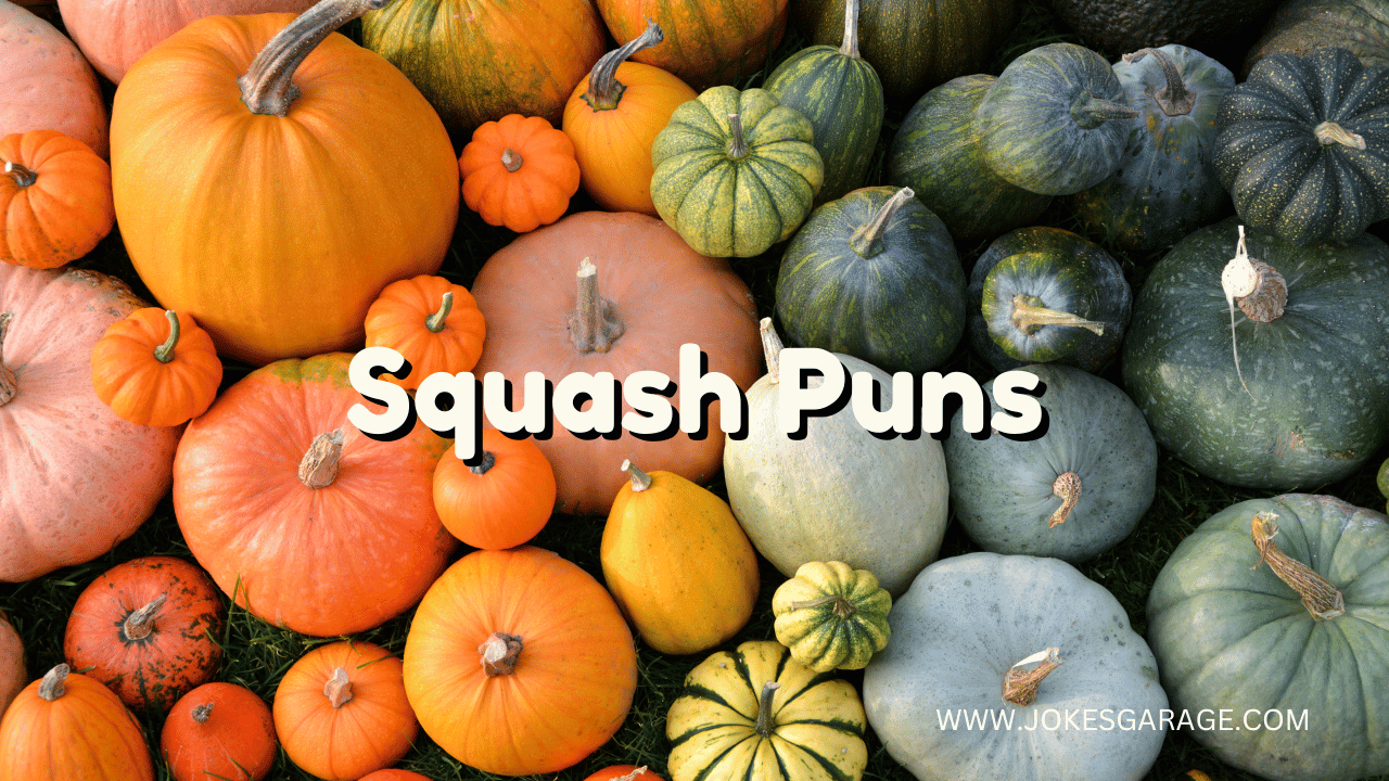 80 Clever Squash Puns Jokes Garage