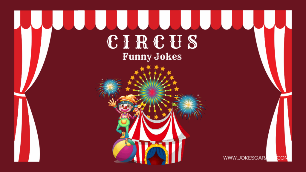 Circus Puns