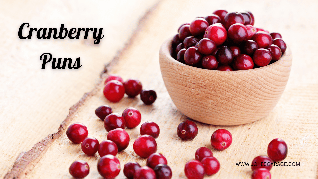 58 Funny Cranberry Puns Jokes Garage