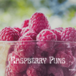 100 One Liners Toilet Puns - Jokes Garage