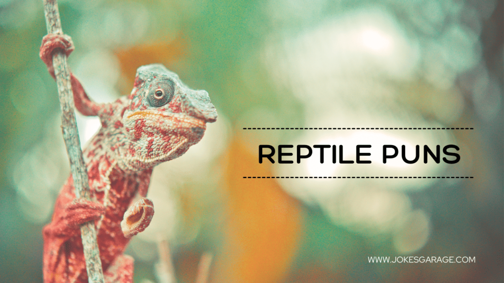 Reptile Puns