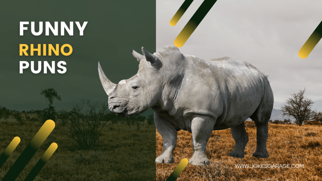 Rhino Puns
