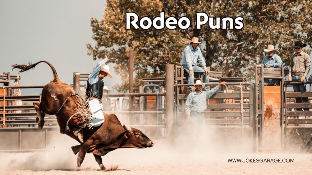 Rodeo Puns