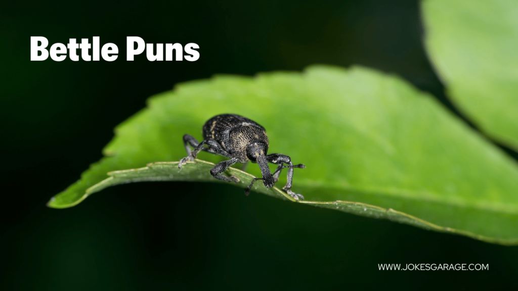 Bettle Puns