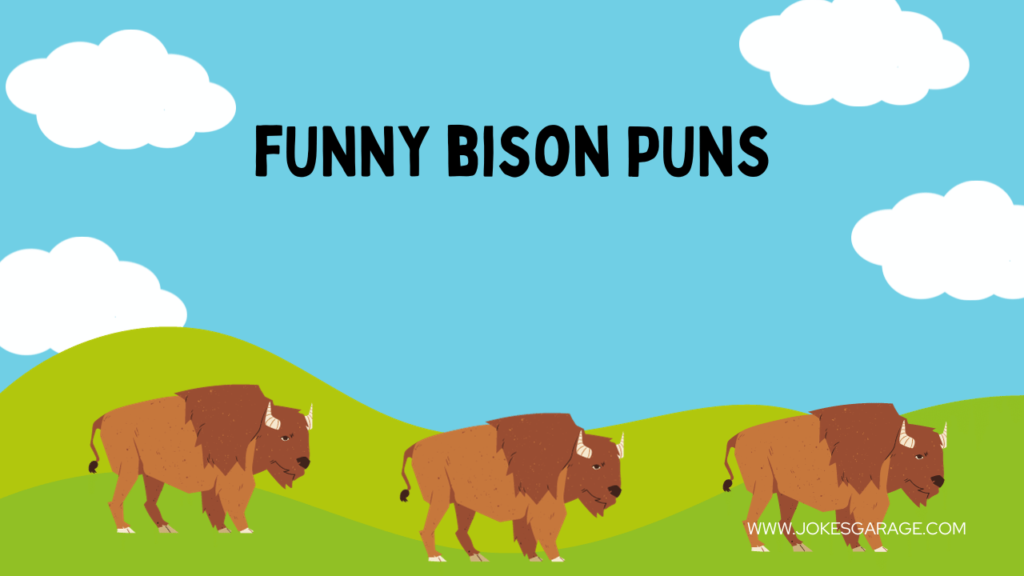 Bison Puns