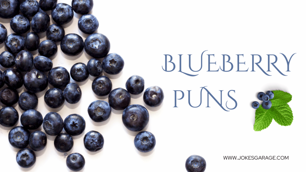 Blueberry Puns