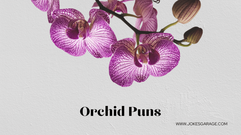 Orchid Puns
