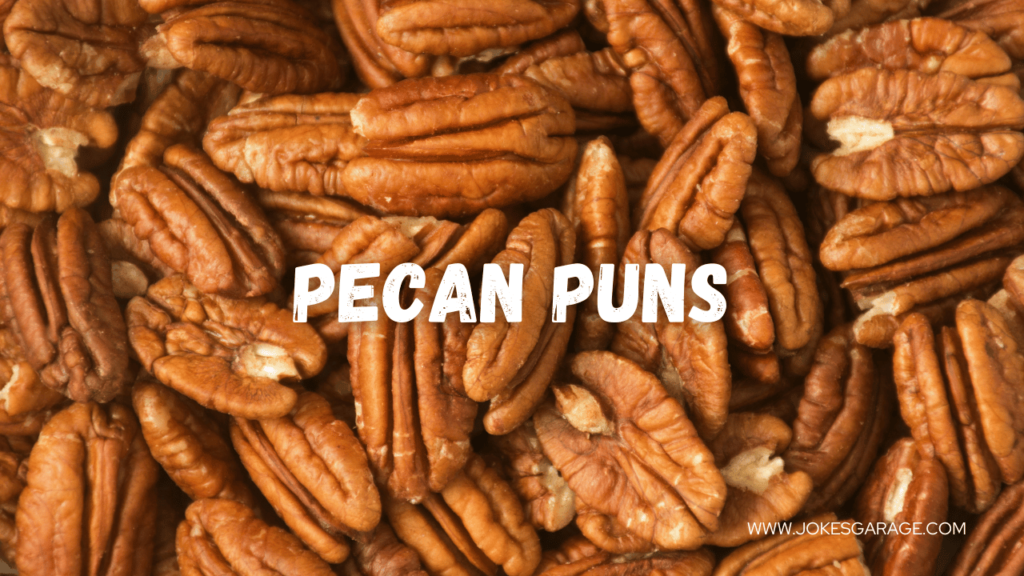 Pecan Puns