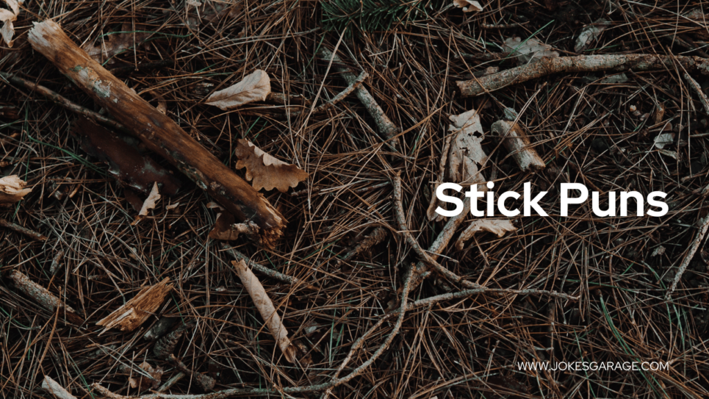 Stick Puns